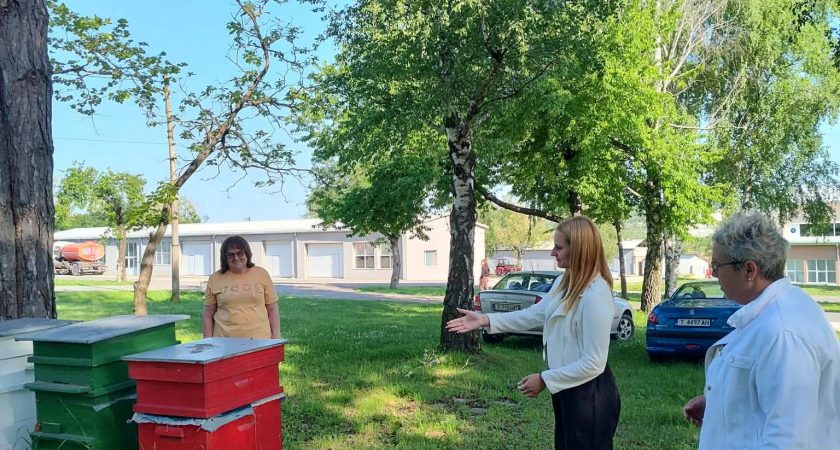 ЗДИППК за трета степен на професионална квалификация по професия „Агроеколог“